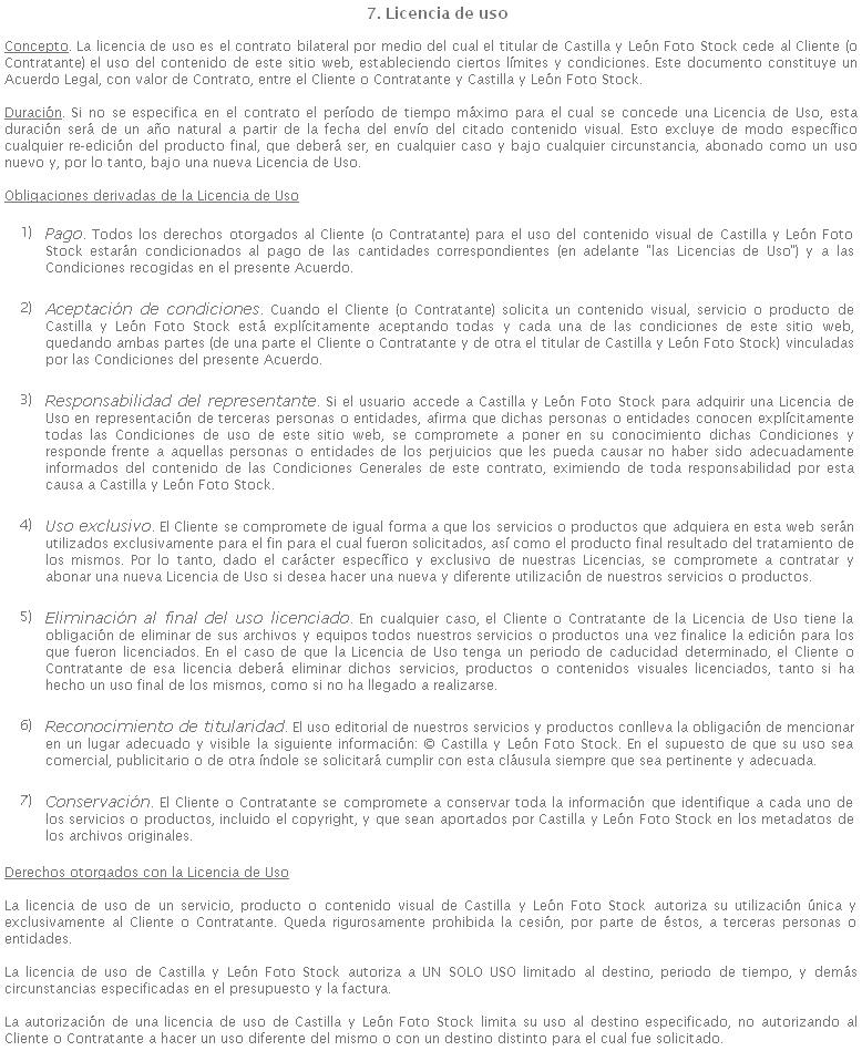 07 - Licencia de uso